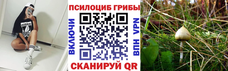 Псилоцибиновые грибы Psilocybe  Городище 