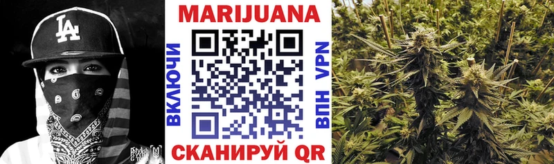 KRAKEN маркетплейс  цены   Городище  Бошки Шишки OG Kush 